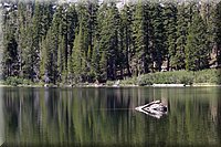 IMG_2361.jpg