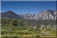 IMG_2366.jpg