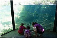 IMG_2369.jpg