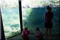 IMG_2370.jpg