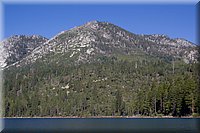 IMG_2384.jpg