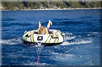 IMG_2426.jpg