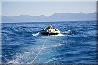 IMG_2436.jpg