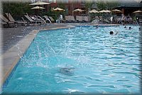 IMG_2548.jpg