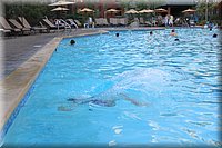 IMG_2557.jpg