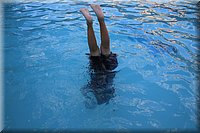 IMG_2559.jpg