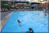 IMG_2564.jpg