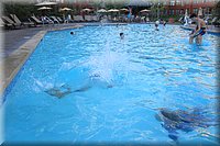 IMG_2568.jpg