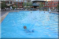 IMG_2586.jpg