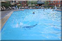 IMG_2602.jpg