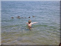 P1000511.jpg