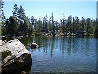 P1000563.jpg